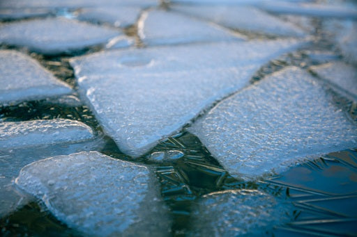 5 Características refrigeradores True