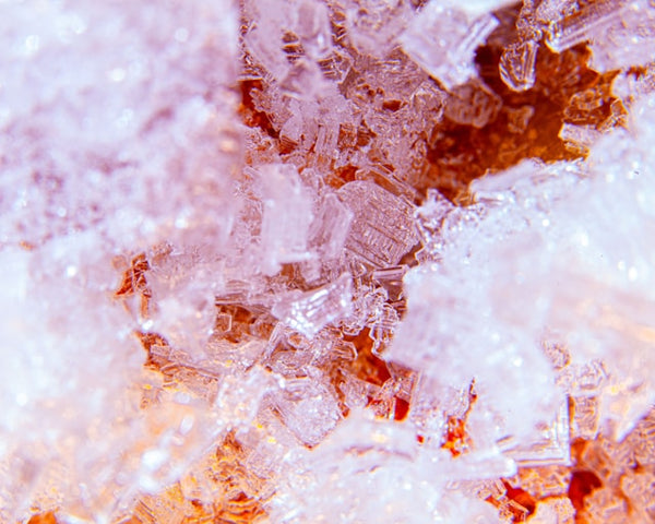 Spacefood Technology: Distribuidor True Refrigeration