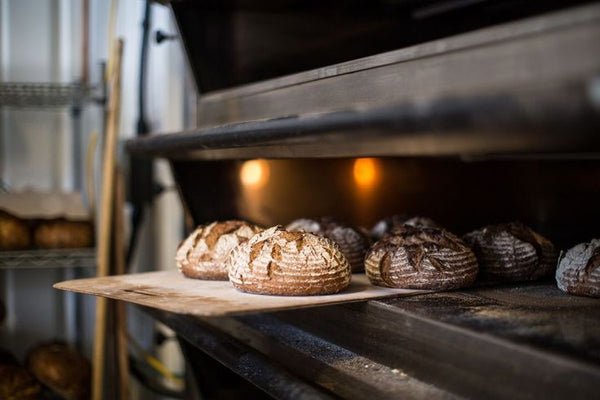 Guía Completa del Horno de Convección a Gas: Ventajas y Usos